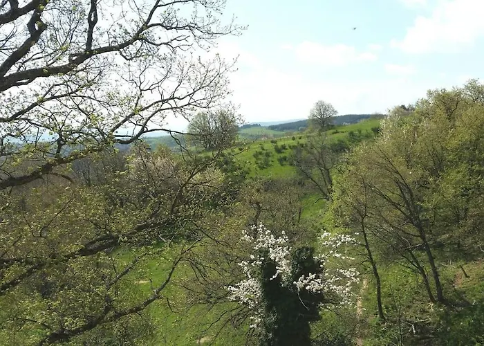 Gite Les Cadichons De La Grange