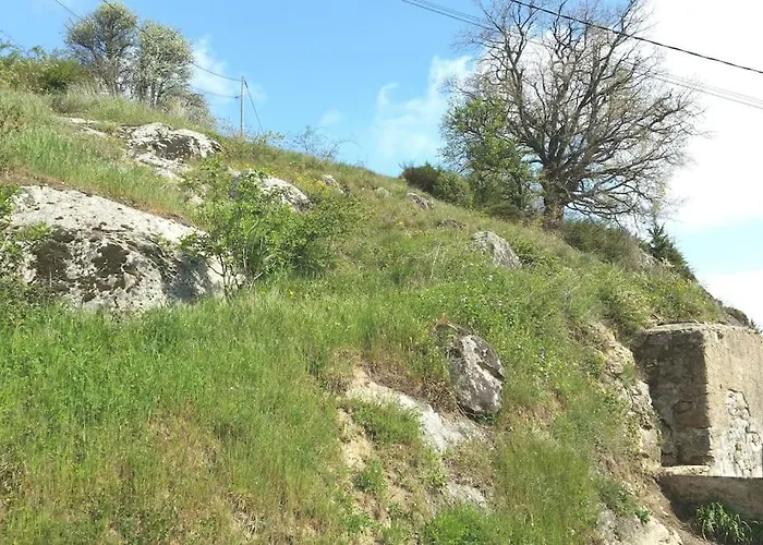 Gite Les Cadichons De La Grange