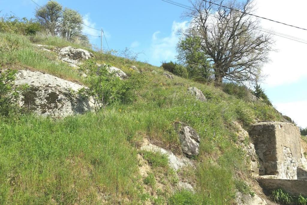 Les Cadichons De La Grange Holiday home *