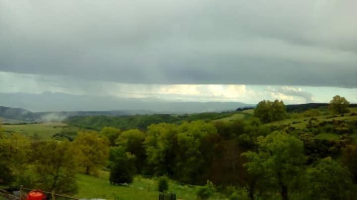 Les Cadichons De La Grange *
