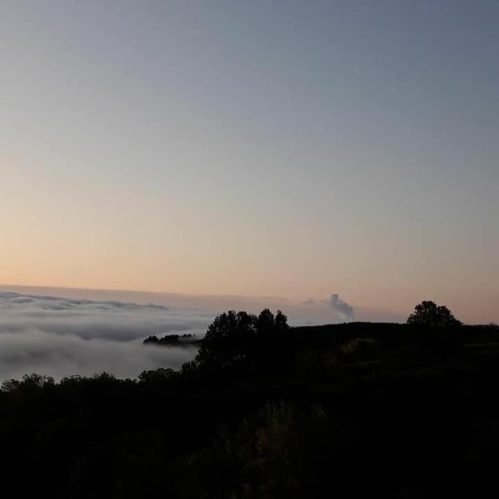 Les Cadichons De La Grange *